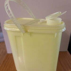 Vintage Tupperware container